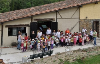 Pequeños Veterinarios